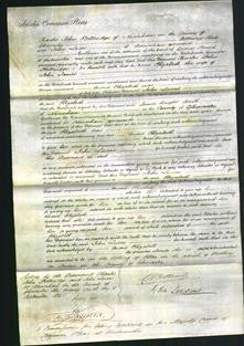 Court of Common Pleas - Elizabeth James-Original Ancestry