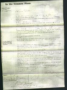 Court of Common Pleas - Catherine Davies-Original Ancestry