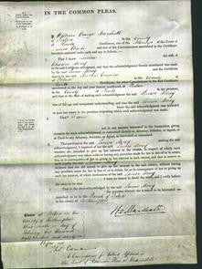 Court of Common Pleas - Louisa Morey-Original Ancestry