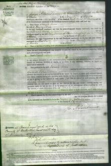 Court of Common Pleas - Sarah Ann Ford-Original Ancestry