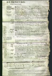 Court of Common Pleas - Rosa Gibson and Ann Sarah Minchin-Original Ancestry