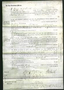 Court of Common Pleas - Sarah Neal-Original Ancestry