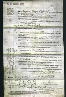 Court of Common Pleas - Jane Smith-Original Ancestry