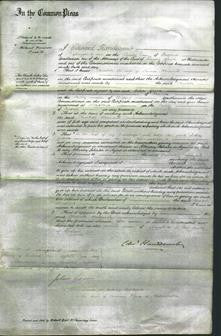 Court of Common Pleas - Charlotte Hardwick-Original Ancestry