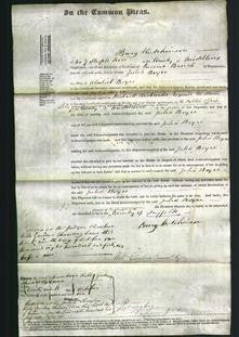 Court of Common Pleas - Julia Boyce-Original Ancestry