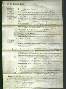 Court of Common Pleas - Susanna Stroudley and Eliza Butcher-Original Ancestry