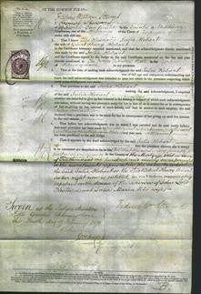 Court of Common Pleas - The Honorable Julia Hobart-Original Ancestry