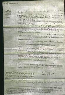 Court of Common Pleas - Agnes Scott-Original Ancestry