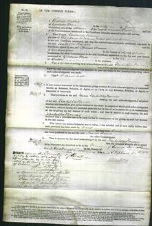 Court of Common Pleas - Isabella Frances Wood-Original Ancestry