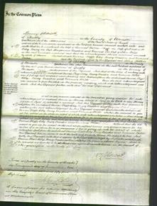 Court of Common Pleas - Sarah Morris, Phoebe Coley, Mary Martin and Emma Wilde-Original Ancestry