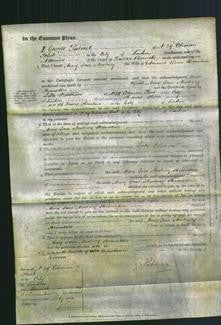 Court of Common Pleas - Mary Jane Newbury Skimshire-Original Ancestry