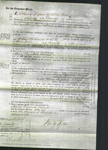 Court of Common Pleas - Mary Elizabeth Mead White-Original Ancestry