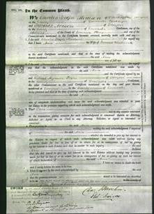 Court of Common Pleas - Ann Woodworth-Original Ancestry