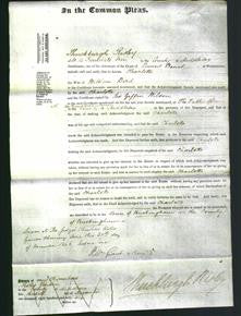 Court of Common Pleas - Charlotte Bird-Original Ancestry