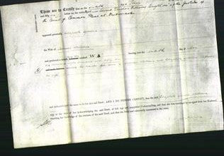 Deed by Married Women - Elizabeth Godwin Walkden-Original Ancestry