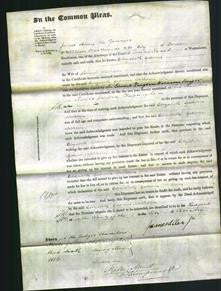 Court of Common Pleas - Elizabeth Godwin Walkden-Original Ancestry