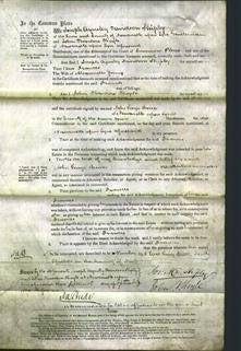 Court of Common Pleas - Frances Young-Original Ancestry