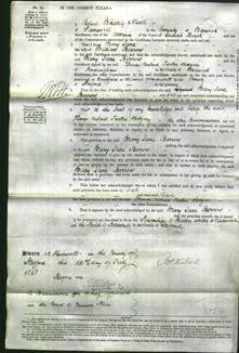 Court of Common Pleas - Mary Jane Berrow-Original Ancestry