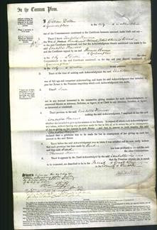 Court of Common Pleas- Isabella Frances Wood-Original Ancestry