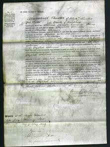 Court of Common Pleas - Elizabeth Atkinson-Original Ancestry