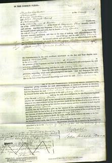 Court of Common Pleas - Mary Sparke-Original Ancestry