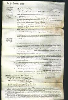 Court of Common Pleas - Isabella Frances Wood-Original Ancestry