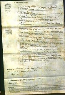 Court of Common Pleas - Mary Jane Berrow-Original Ancestry