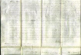 Court of Common Pleas - Sarah Bainton-Original Ancestry