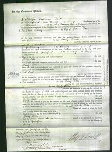 Court of Common Pleas - Emily Ellis-Original Ancestry