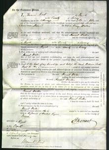 Court of Common Pleas - Harriet Wallis-Original Ancestry