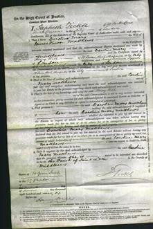 Court of Common Pleas - Caroline Mary Matthews-Original Ancestry