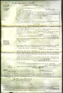 Court of Common Pleas - Amelia Gelder-Original Ancestry