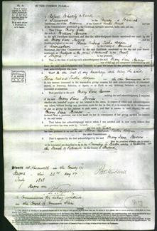 Court of Common Pleas - Mary Jane Berrow-Original Ancestry