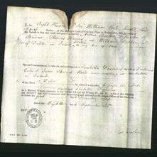 Appointment of Special Commisioners - Arthur Barlow, Featherston Briscoe, Thomas Hanna and William Dobbin-Original Ancestry