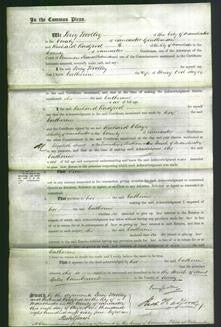 Court of Common Pleas - Catherine Sayer-Original Ancestry