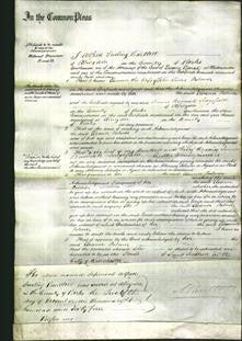 Court of Common Pleas - Eleanor Palmer-Original Ancestry