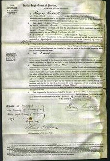 Court of Common Pleas - Jane Ellen Broad-Original Ancestry