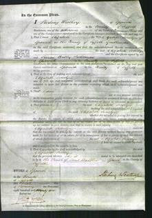 Court of Common Pleas - Elizabeth Josselyn-Original Ancestry