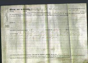 Deed by Married Women - Sarah Williams-Original Ancestry