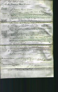 Court of Common Pleas - Mary Hodgson Bennett-Original Ancestry