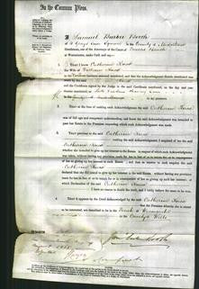 Court of Common Pleas - Catherine Knox-Original Ancestry