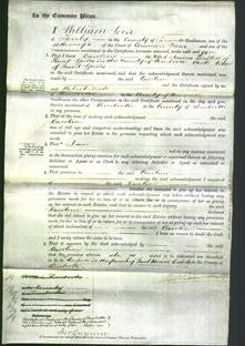 Court of Common Pleas - Caroline Dalton-Original Ancestry