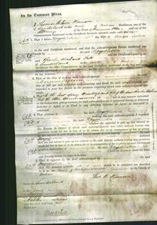 Court of Common Pleas - Margaret Jackson-Original Ancestry