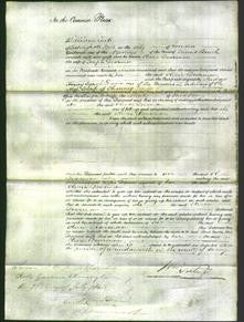 Court of Common Pleas - Olivia Dearman-Original Ancestry