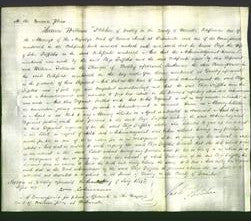 Court of Common Pleas - Eliza Griffiths-Original Ancestry