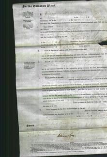 Court of Common Pleas - Mary Greenwood Johnson Huckle-Original Ancestry