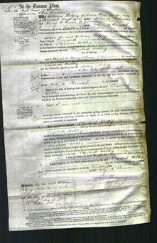 Court of Common Pleas - Elizabeth Webley-Original Ancestry