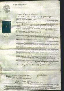 Court of Common Pleas - Jane Greeves-Original Ancestry