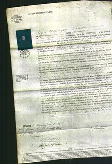 Court of Common Pleas - Sarah Higgison-Original Ancestry