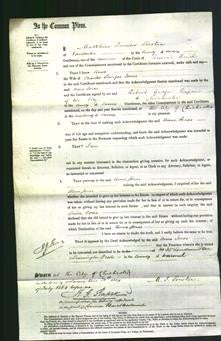 Court of Common Pleas - Anne Jones-Original Ancestry